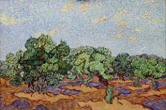 14 Olive Trees - Vincent van Gogh 1889 - New York Metropolitan Museum of Art